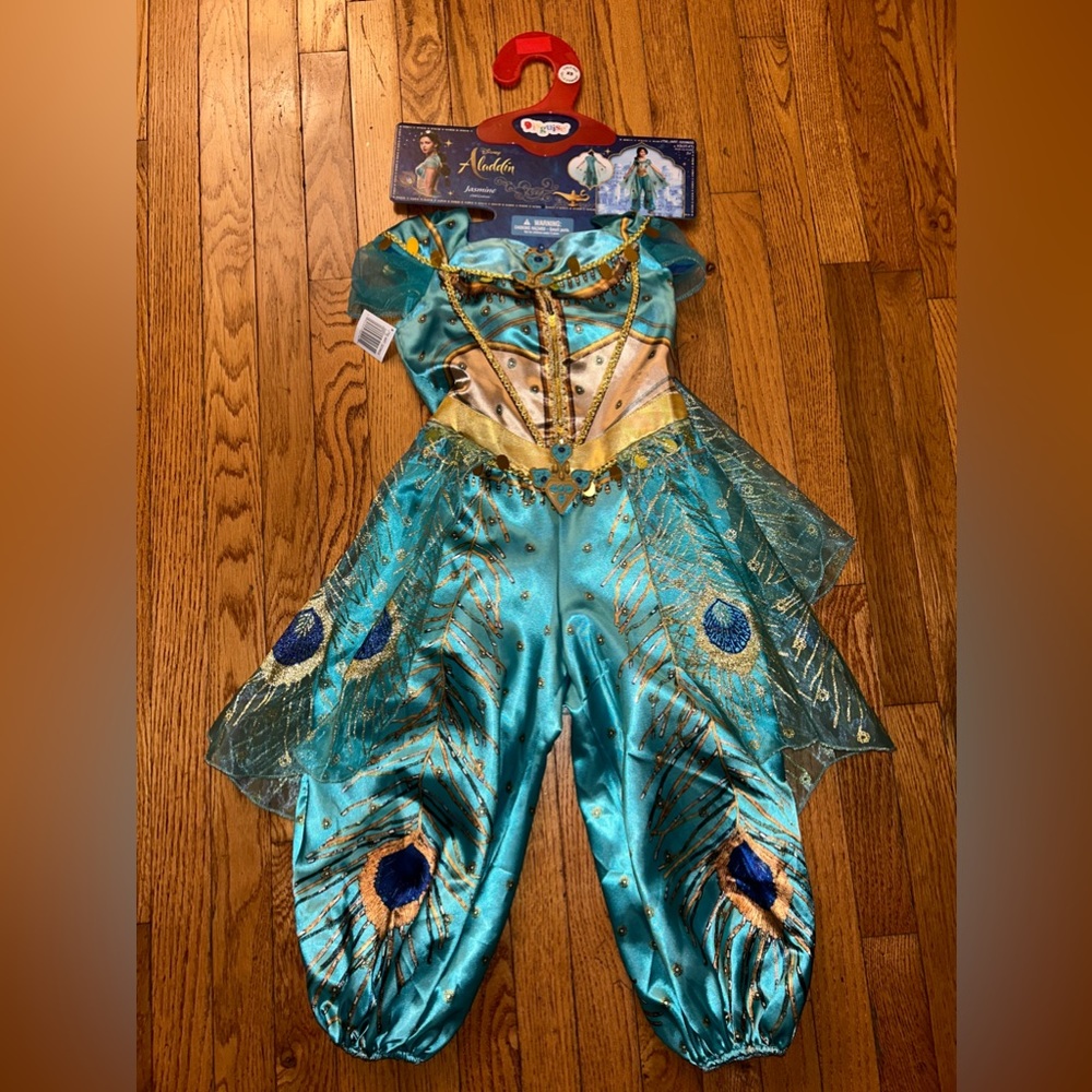 Disney Jasmine dress up